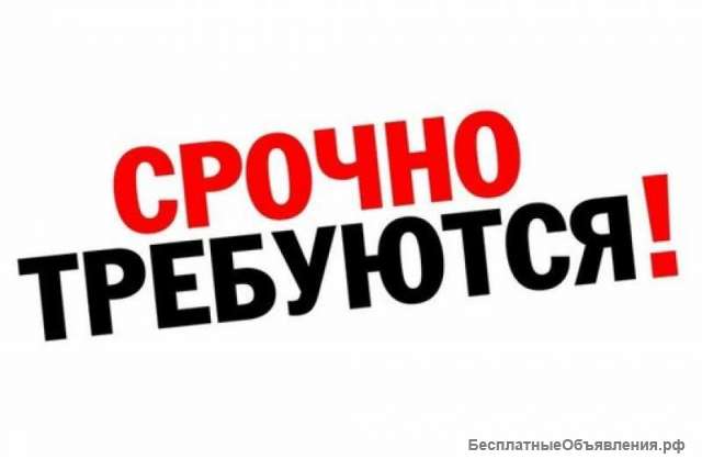 Сотрудники на подработку