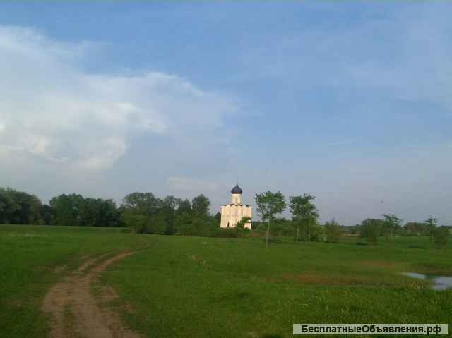 Экскурсии Владимир Суздаль Боголюбово