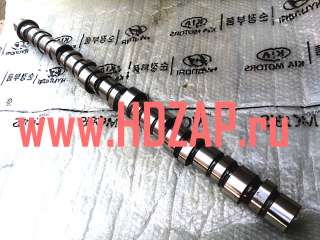 Распредвал D6C для HYUNDAI HD-Gold-Trago-Xcient-Universe, 24110-84800,2411084800
