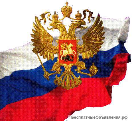 Полномочный представитель