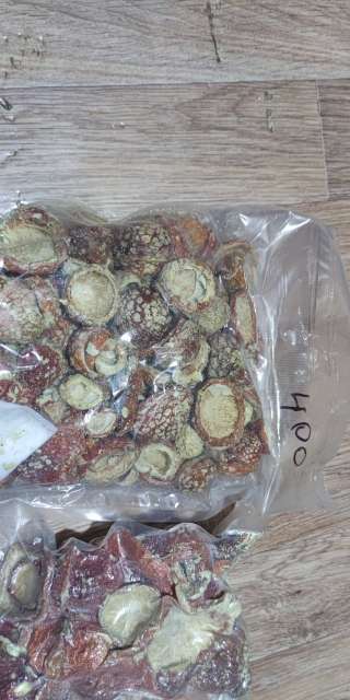 Мухомор сушёный