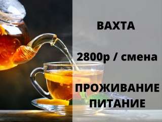 Упаковщик чая работа вахтой с проживанием и питанием в Москве