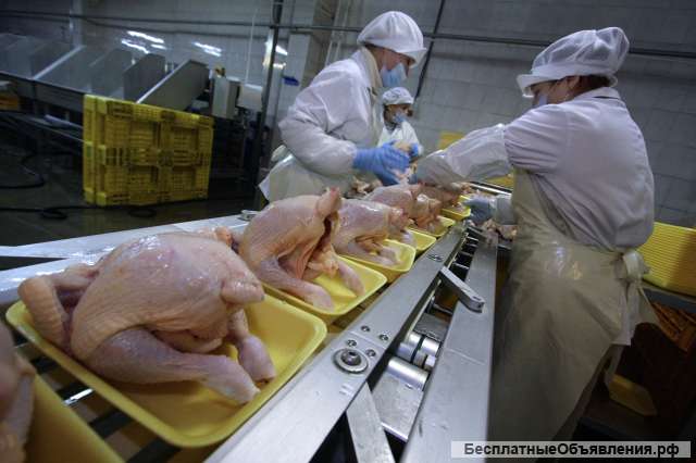 Упаковщик-укладчик