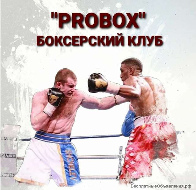Тренировки Боксерский клуб PROBOX