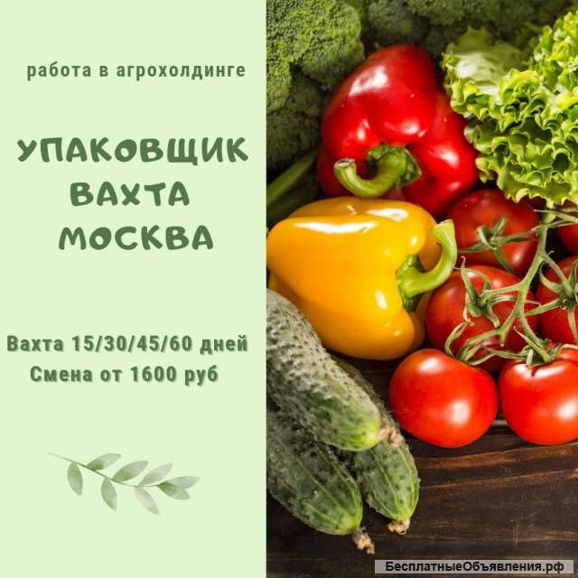 Упаковщик продукции вахта в Москве