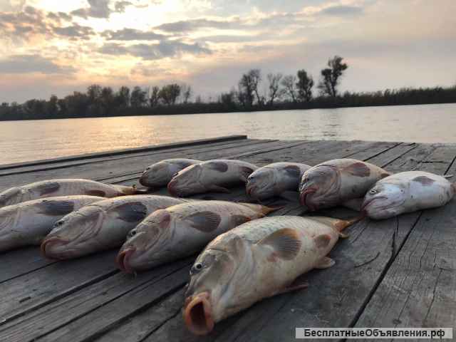 Рыбалка в Астраханской области
