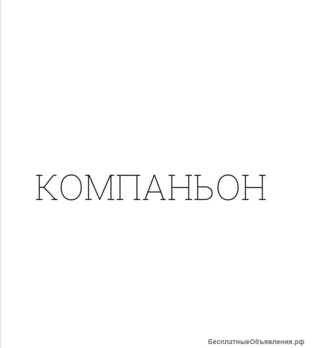 Компаньон