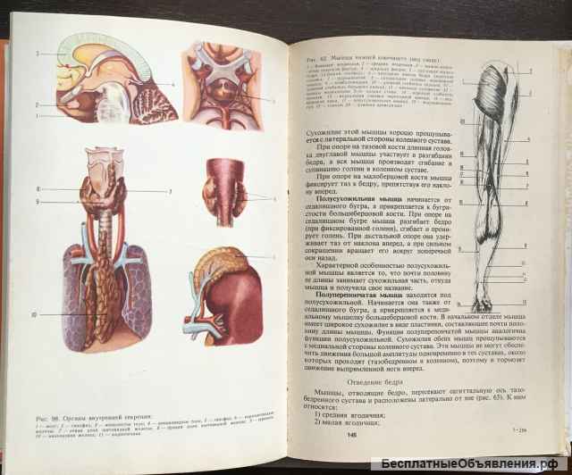 Анатомия человека. Учебник