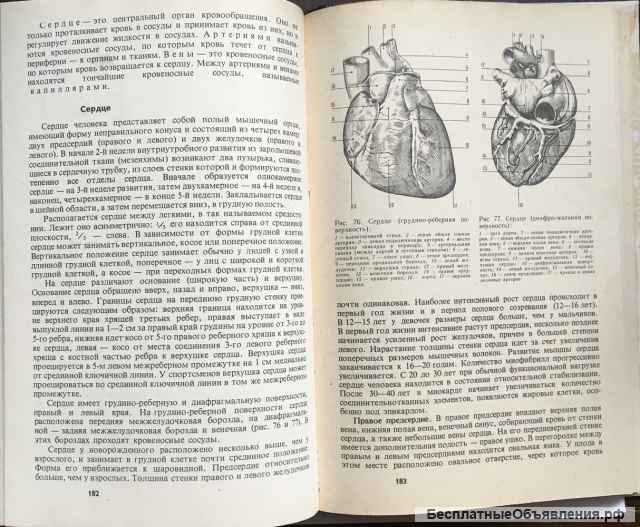 Анатомия человека. Учебник