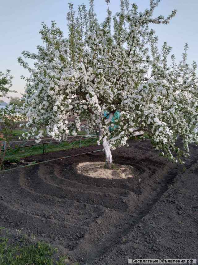 Участок снт Промжелезобетон