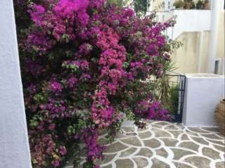 Комфортабельный дом с видом на горы в Тиносе Греция