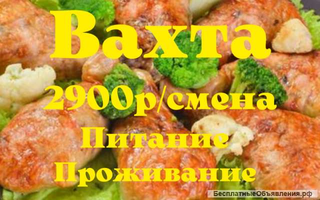 Упаковщик в Москве вахта с питанием 15/30/45/60