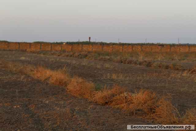 Ищу партнеров, заинтересованных лиц