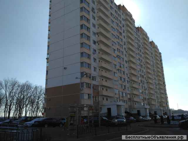 Студия 28 м2 ремонт Трошева