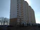 Студия 28 м2 ремонт Трошева