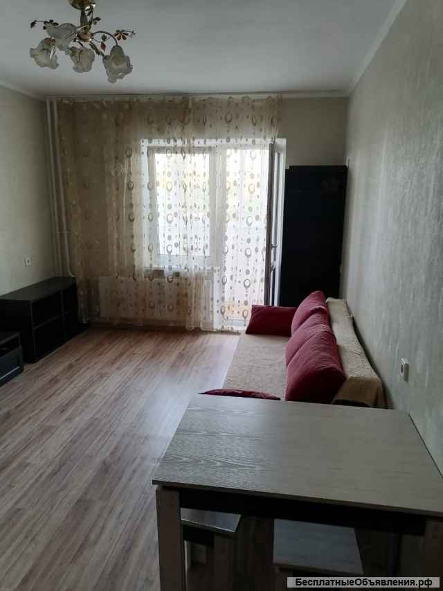 Студия 26 м2 ЗИП
