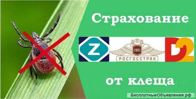 Страхование от укуса клеща