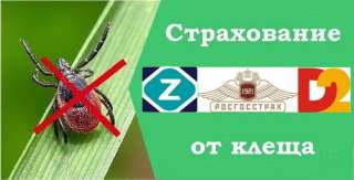Страхование от укуса клеща
