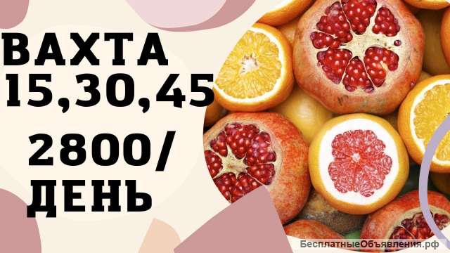 Работа Вахта 15/15 проживание в Москве