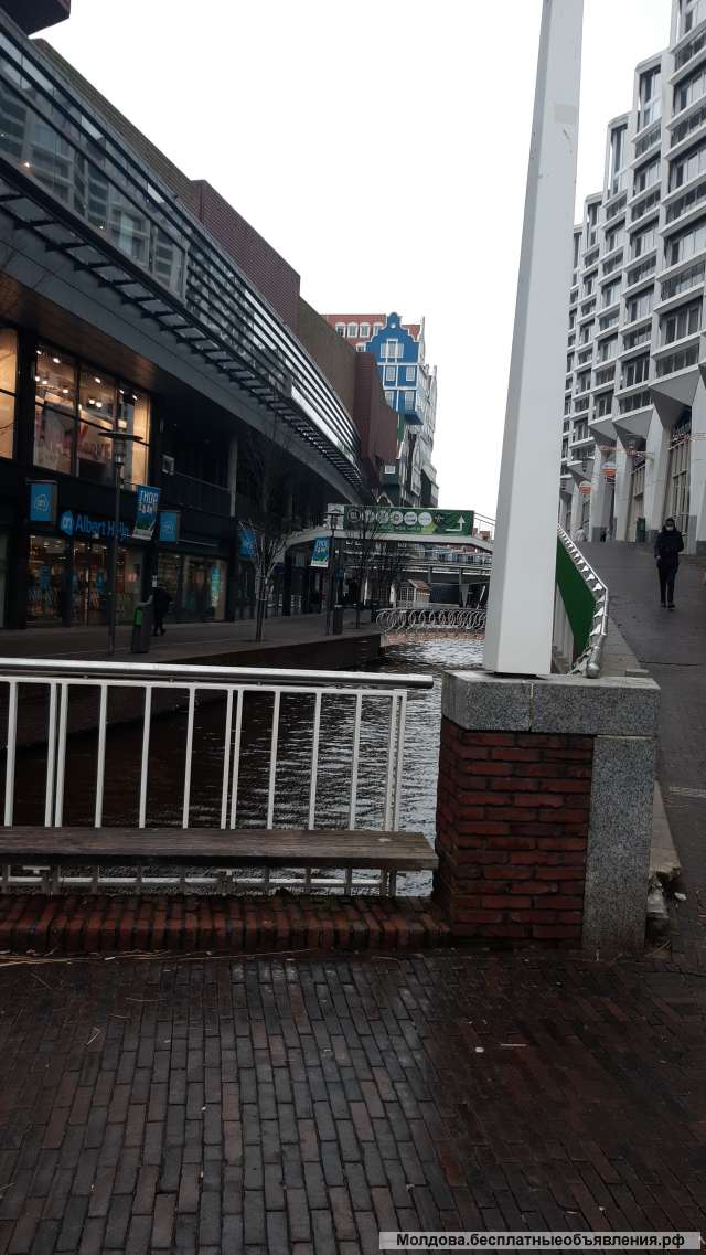 Работа для женщин