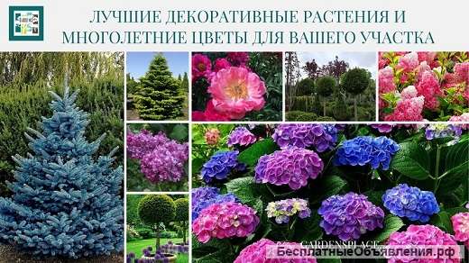 Товары для сада и растения