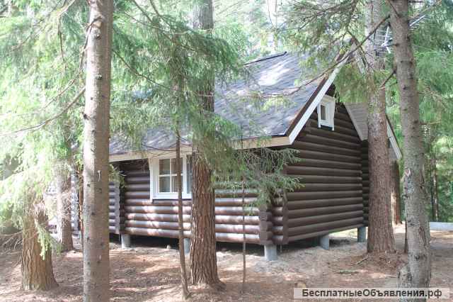 Гостевые дома «Алавойне» в Карелии