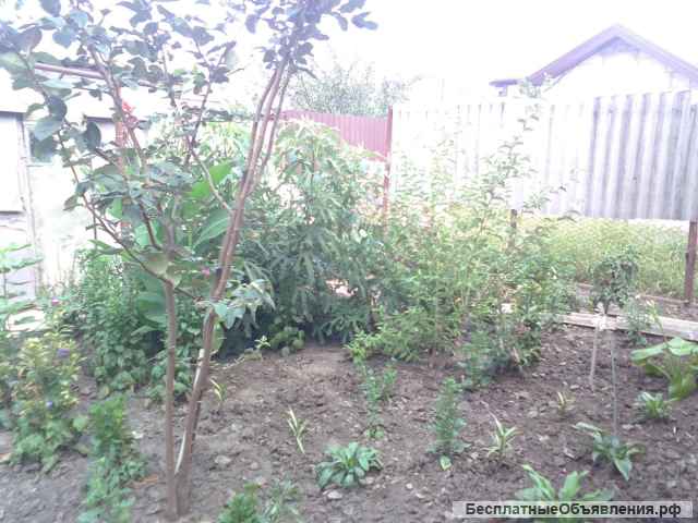 Дом 82 м2 2.3 сот Горхутор