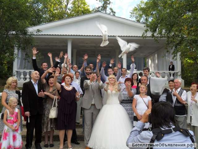 Белые голуби