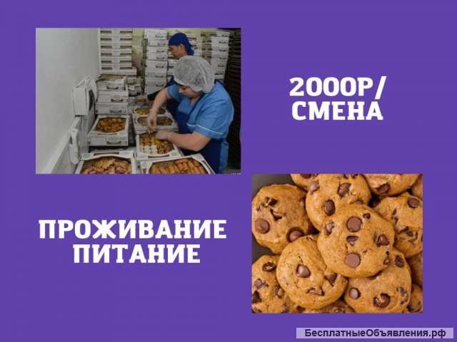 Работа Вахтой Москва Упаковщик Питание и Проживание Бесплатно