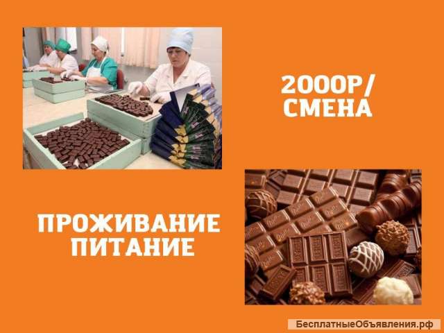 Упаковщик Питание и Жилье Вахта