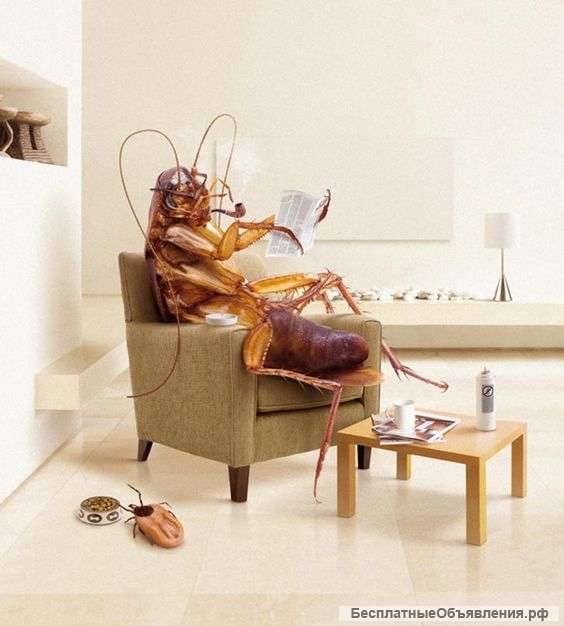 Уничтожение клопов, тараканов за час