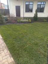 Газон под ключ