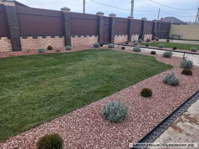 Газон под ключ