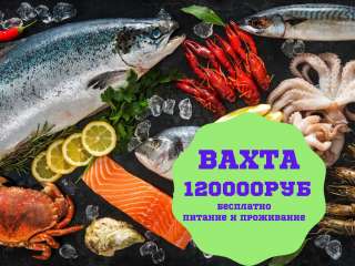 Упаковщики на пищевые производства, вахта с питанием в Москве