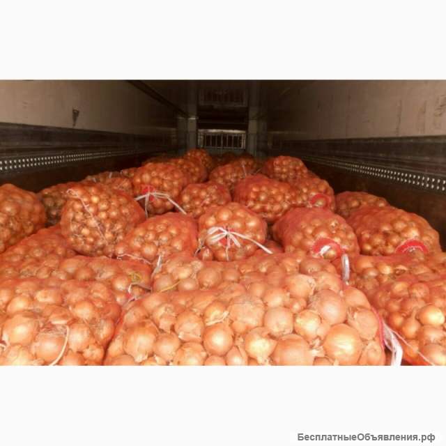Лук репчатый тоннами из Казахстана