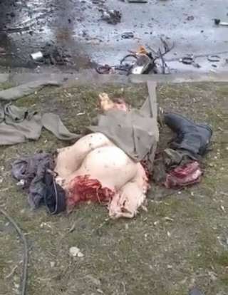 Отдам собаку