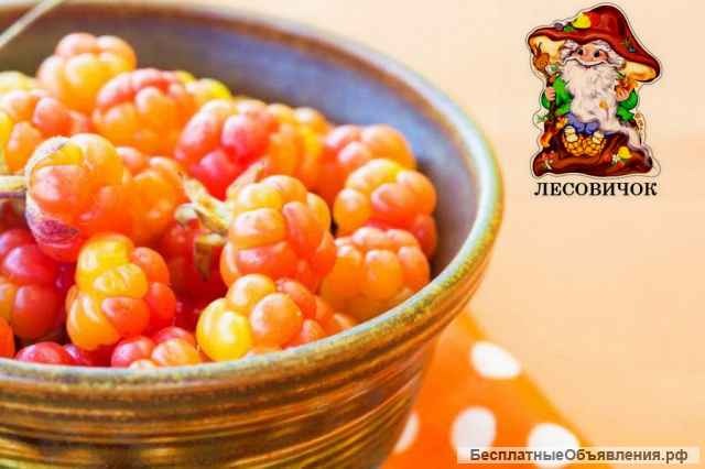 Морошка ягоды купить. Морошка 2022 года