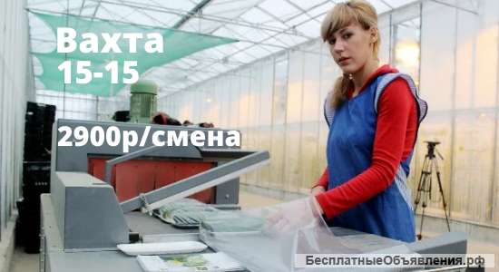 УПАКОВЩИК ОДЕЖДЫ, вахта с питанием