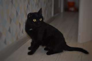 Чудесная Элина ждёт вас