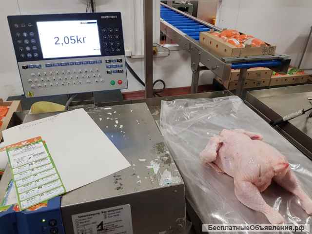 Мясо Говядина Курица Свинина