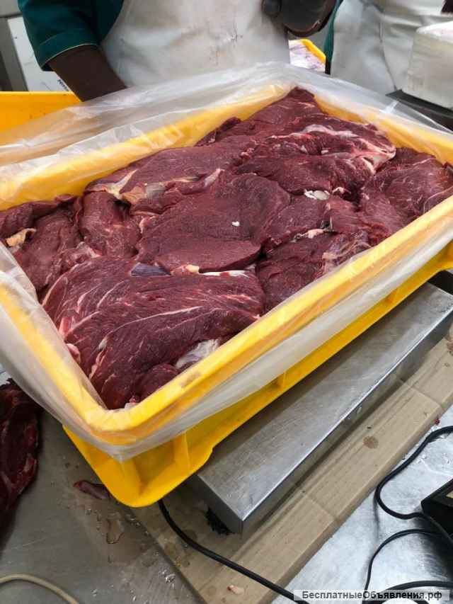 Мясо Говядина Оптом Баранина