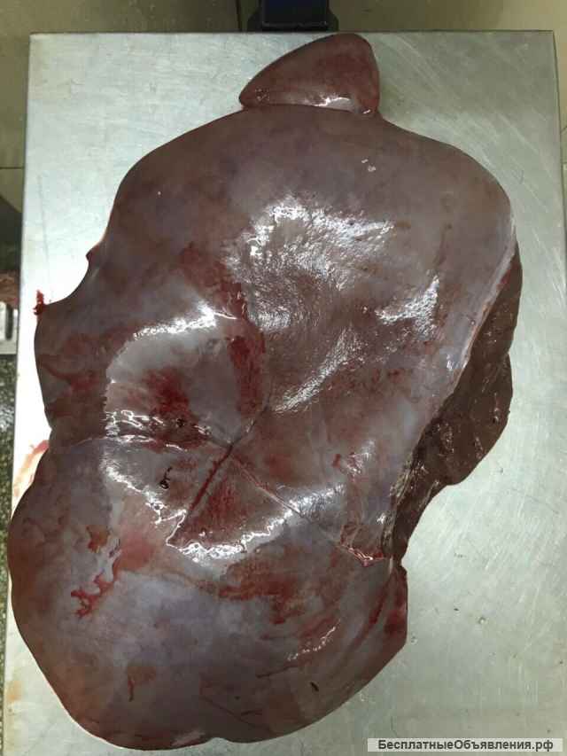 Мясо Говядина Оптом Баранина