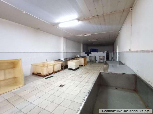 Сдается складское помещение площадью 537 м2