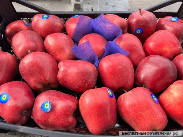 Яблоко Старкинг