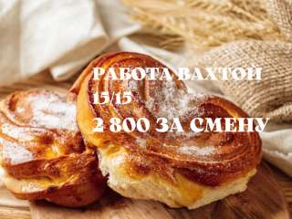 Упаковщик вахтой в москве 15/30 с питанием