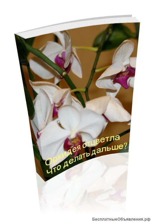 Орхидея отцвела Что делать(бесплатная мини-книга)