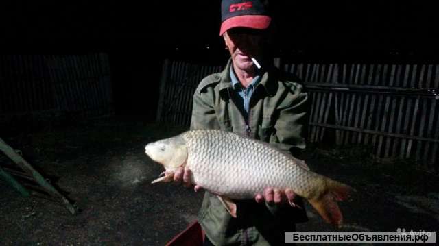 Прудовое хозяйство