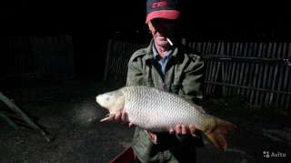 Прудовое хозяйство