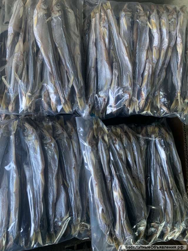 Корюшка Сахалинская. Вакуум. Доставка