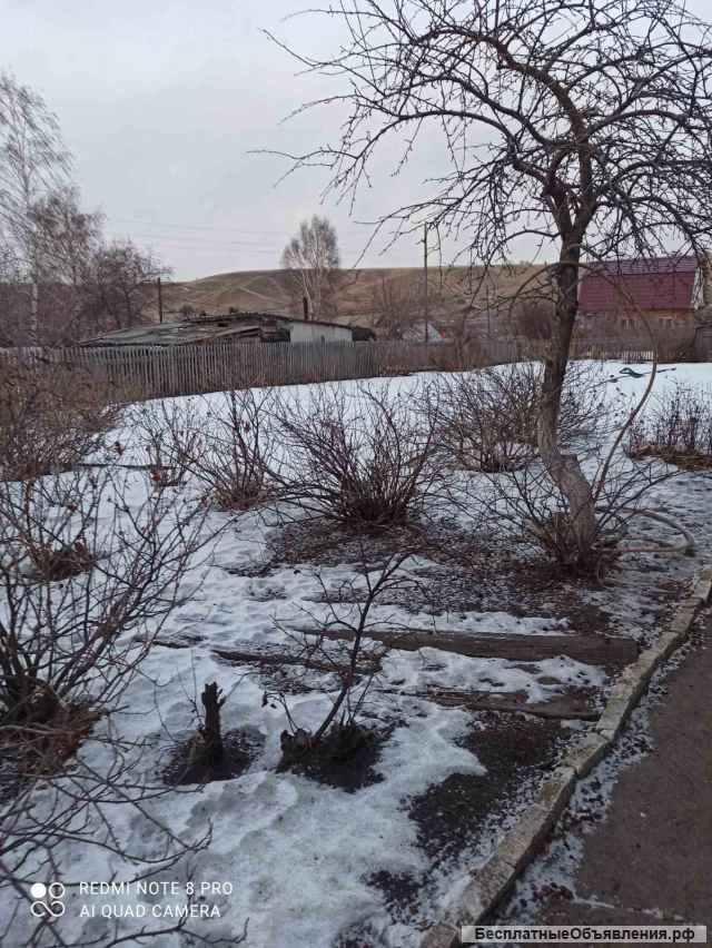 Дачу, СНТ "Механизатор"